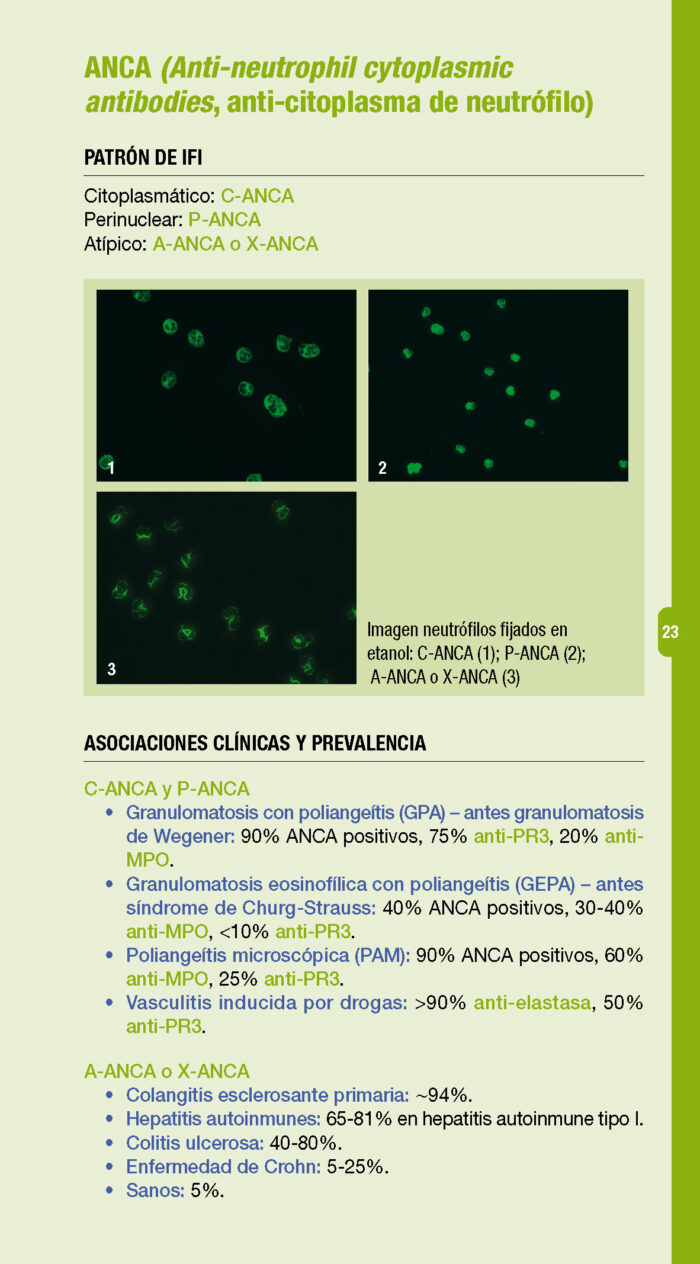 Autoanticuerpos. Guía rápida (3ª Edición) - Imagen 3
