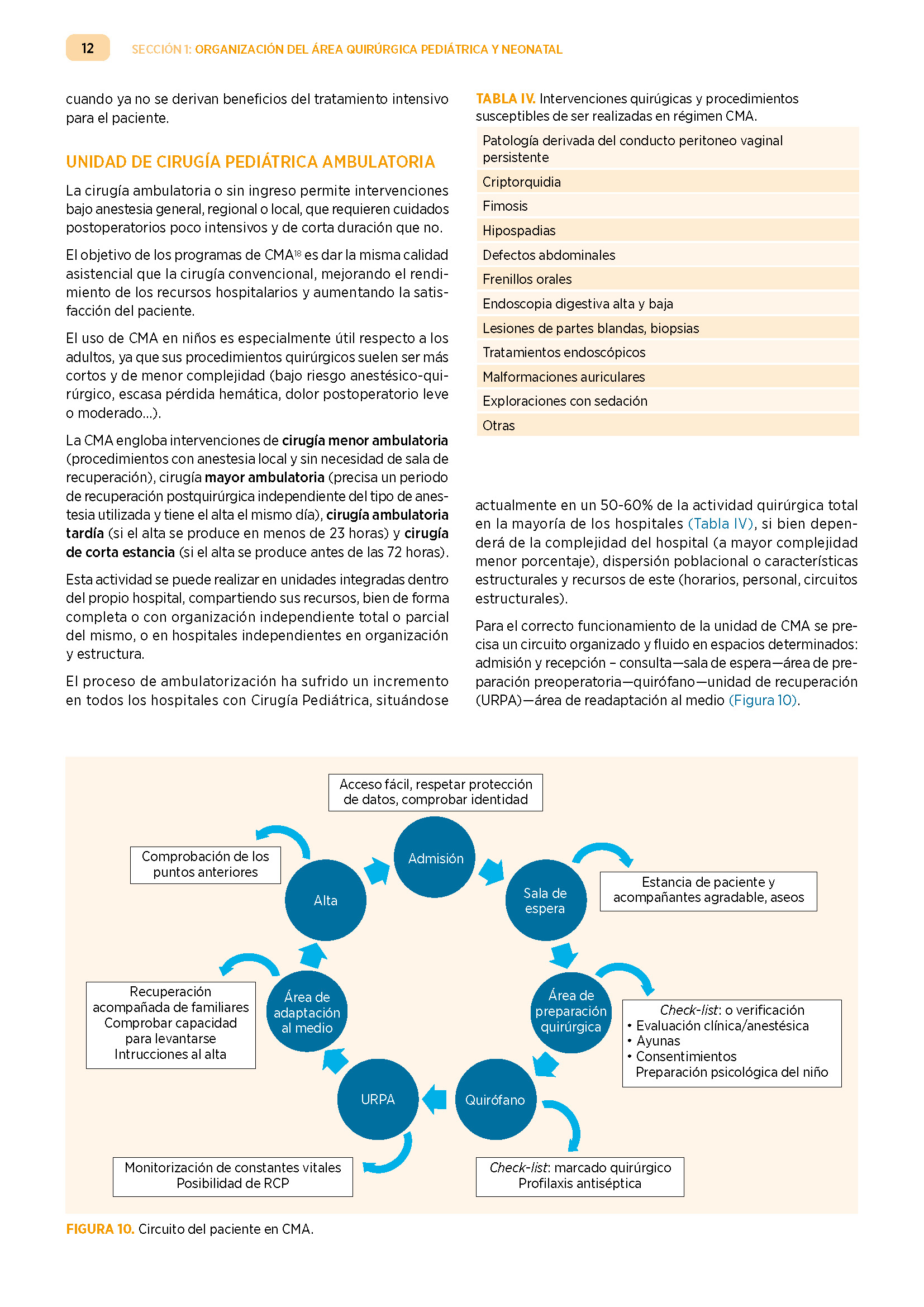 Tratado de Cirugía Pediátrica - Imagen 4